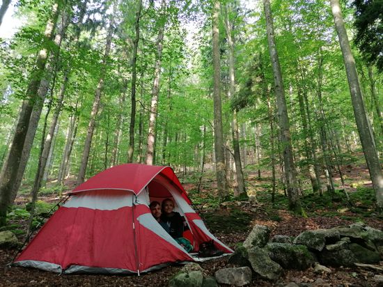 Zelten im Naturpark: Das Camp Grimbach liegt inmitten eines 80 Jahre alten Buchenwalds. E