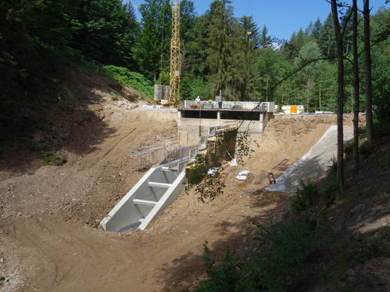 Fundamentale Erneuerung: Oberhalb von Neuweier wird das Regelbauwerk saniert und auch der Damm um 80 Zentimeter erhöht. 