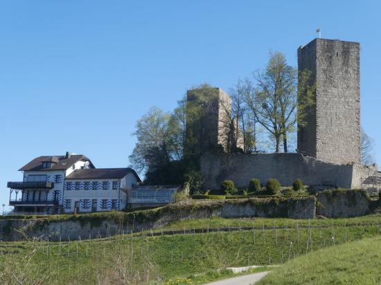 Burgruine Alt-Windeck