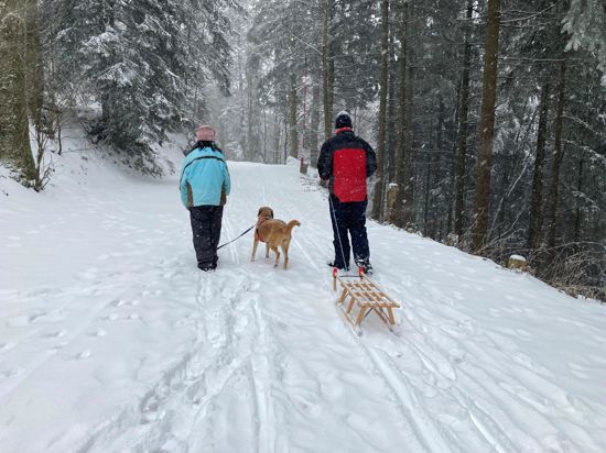 Zwei Menschen im Schnee mit Hund