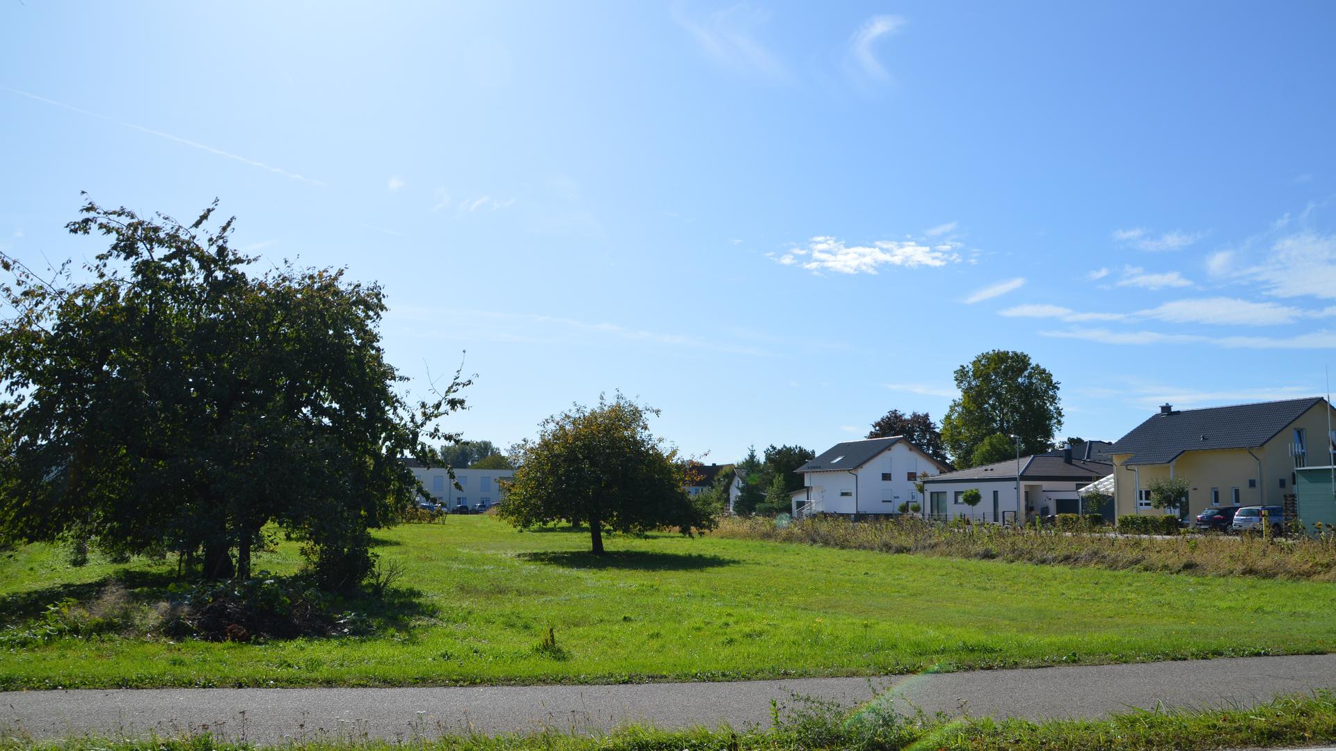 Bäume, dazwischen Seniorenwohnheim, rechte Seite Bebauung mit Häusern