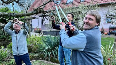 Franz Markolf, Jonas Lienhart und Michael Hönig vom Obst- und Gartenbauverein Balzhofen schneiden einen Apfelbaum.