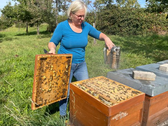 Sonja Schaufler steht mit einer Bienenwabe vor einer Streuobstwiese