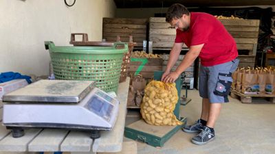 Marius Knopf wiegt einen Sack Kartoffeln 