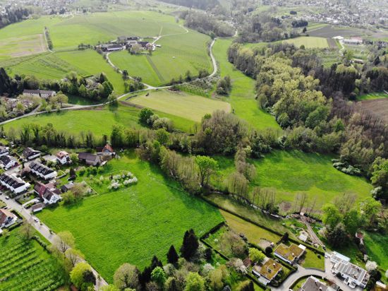 Luftbild einer grünen Landschaft, links und rechts Häuser