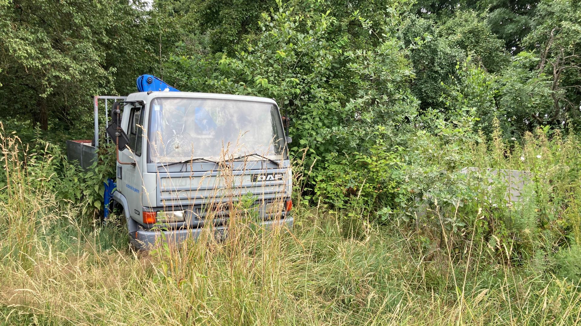Ein grauer Pritschenlastwagen der Marke DAF steht auf einem verwilderten Grundstück bei Ottersweier-Haft