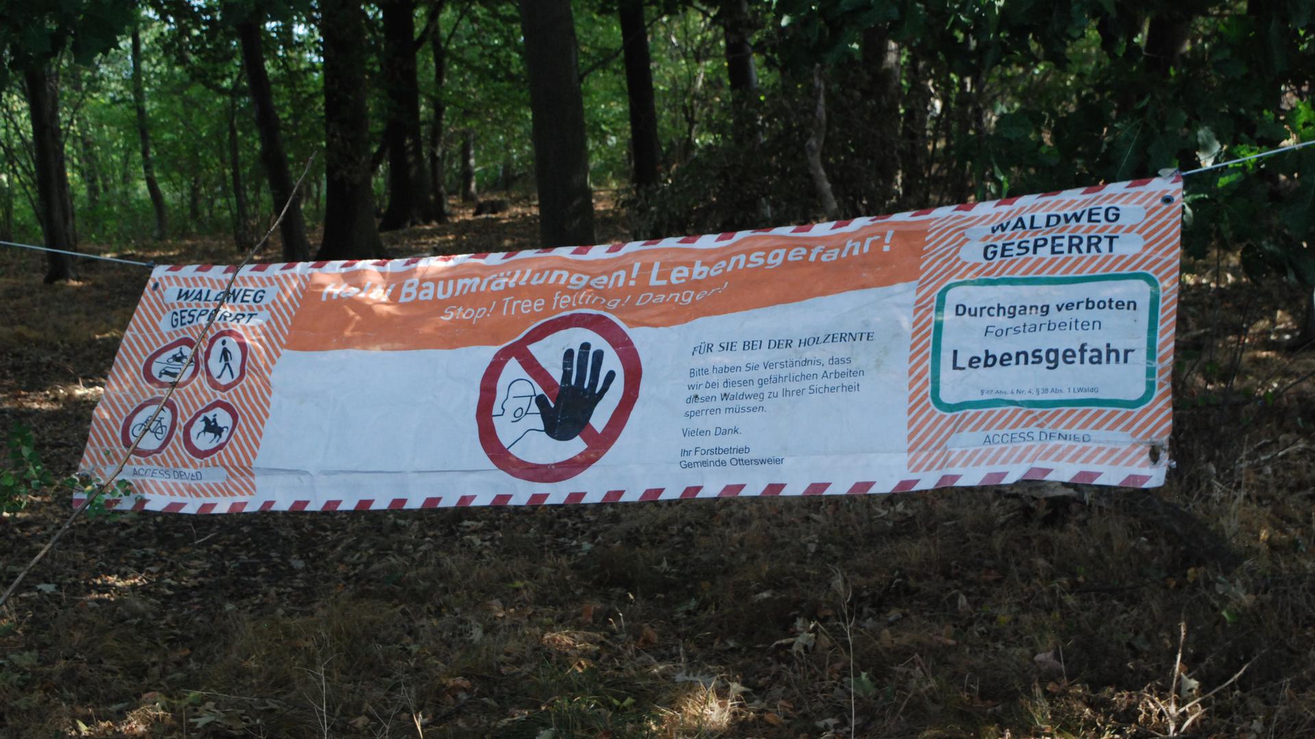 Banner mit der Aufschrift „Halt! Baumfällungen! Lebensgefahr!“