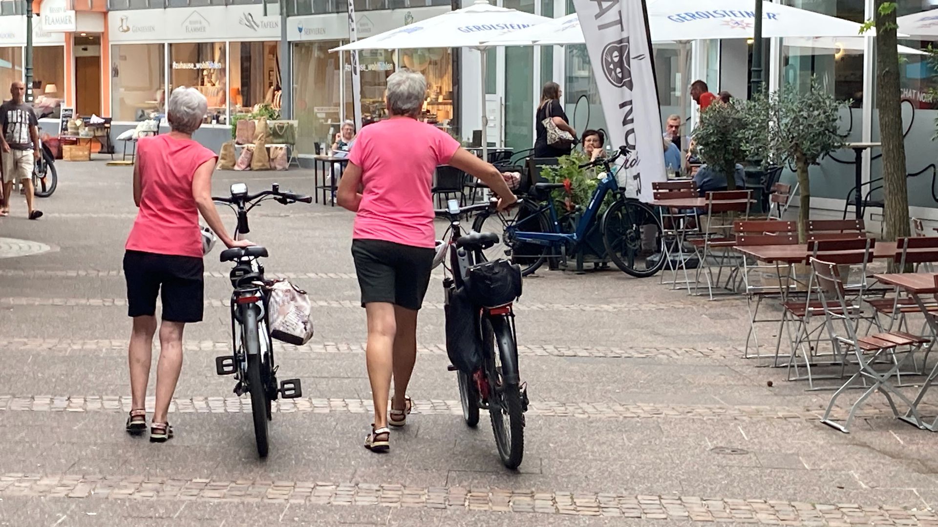Zwei Frauen schieben Fahrräder durch eine Schwanenstraße. 
