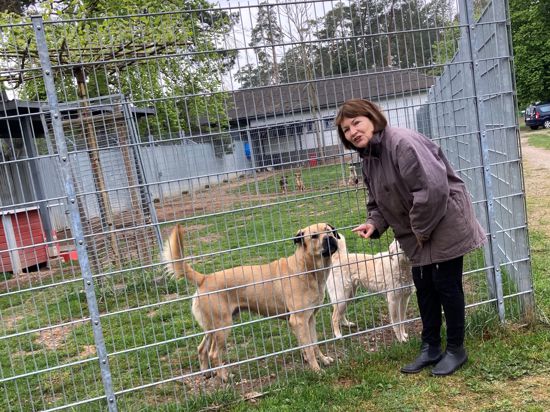 Waltraud Siebeneicher führt mit ihrem  Tierschutzverein die Hundepension auf dem Baden-Airpark.