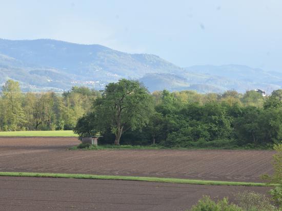 Westlich von Sinzheim, aber noch vor den Bahnschienen und bei dem Wäldchen soll die Biogasanlage gebaut werden.