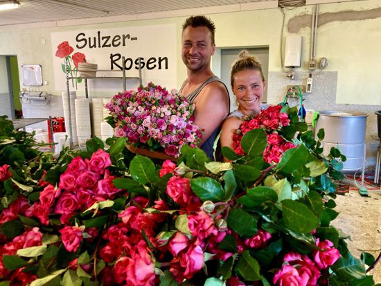 Andreas und Mandy Sulzer vom Betrieb Rosen Sulzer in Sinzheim-Kartung stellen Schnittrosen zu Bündeln zusammen.