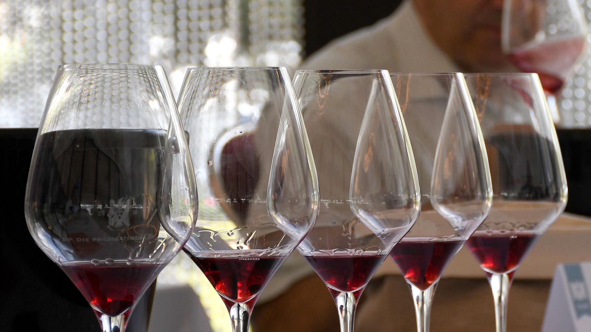 Gläser mit Rotwein stehen während einer Verkostung auf einem Tisch.