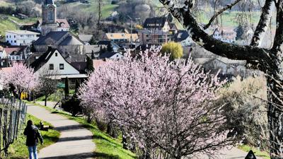 Blick auf eine Ortschaft im Frühling. 