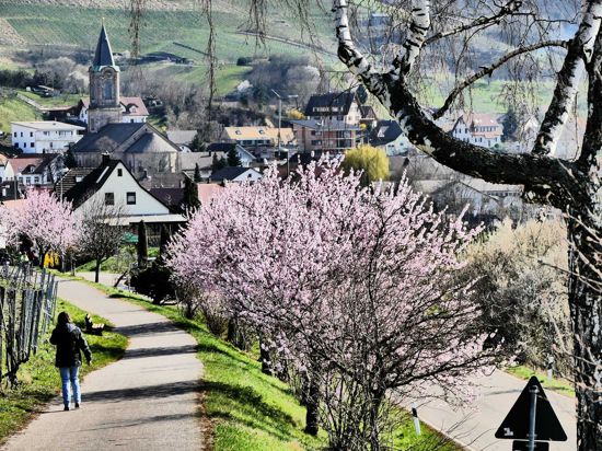 Blick auf eine Ortschaft im Frühling. 