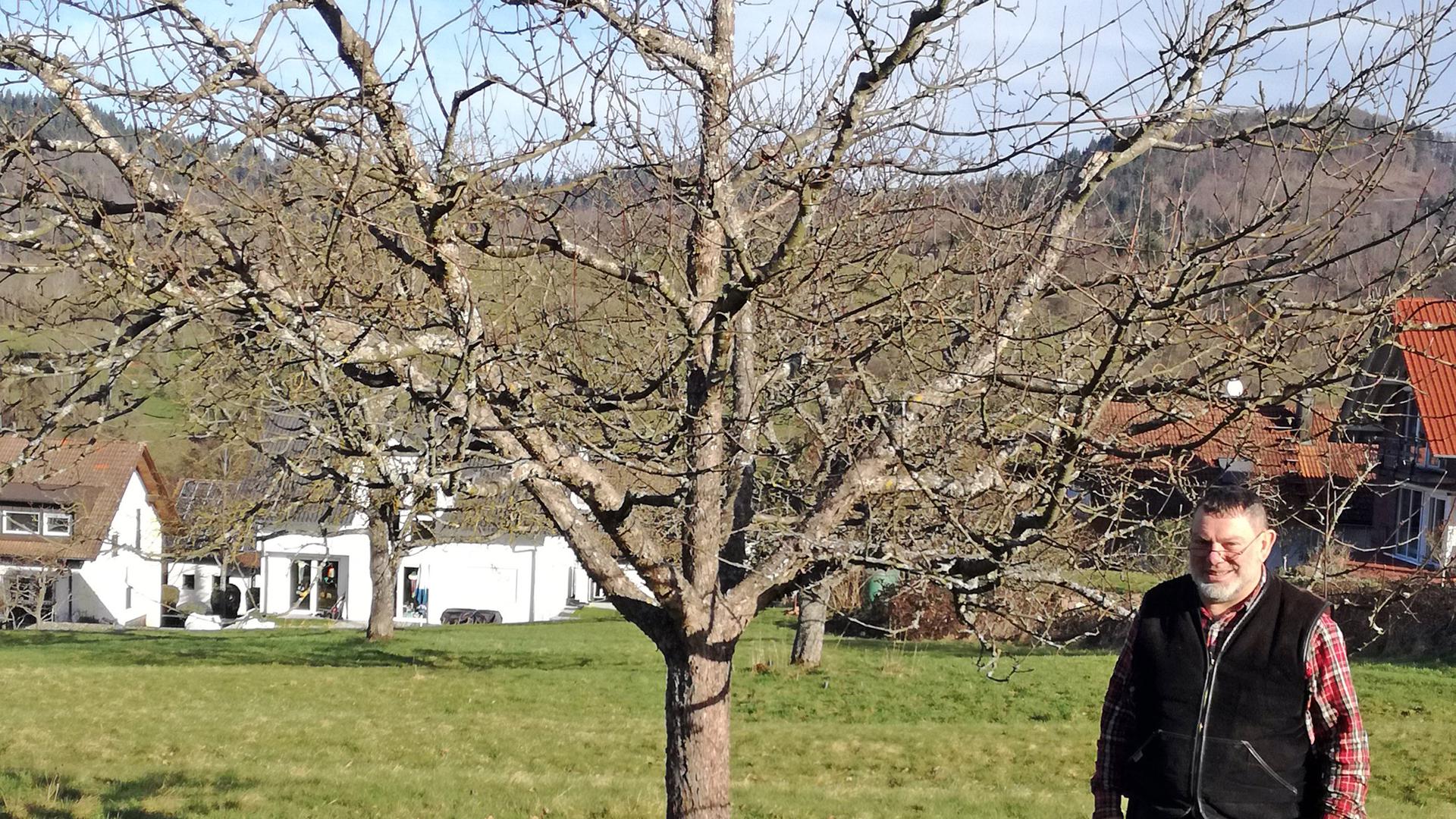 Braumeister mit einer Leidenschaft für Obstbäume: Der erste SOMO-Vorsitzende Christoph Werner erläutert an einem Apfelbaum bei Michelbach den Oeschberg-Schnitt. Vier Seitenäste bilden hier vom Stamm weg einen Trichter. 