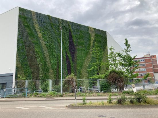Green Wall in Gaggenau