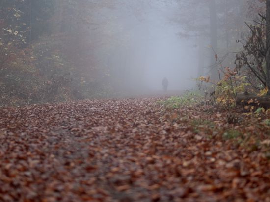 11.11.2020, Baden-Württemberg, Stuttgart: Ein Spaziergänger geht im Nebel auf einem Waldweg auf dem zahlreiche herbstliche gefärbte Blätter liegen spazieren. Foto: Bernd Weissbrod/dpa +++ dpa-Bildfunk +++ | Verwendung weltweit