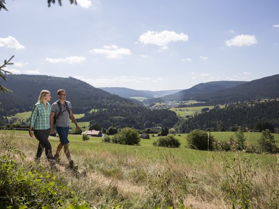 Zwei Wanderer in einem Schwarzwald-Tal. 