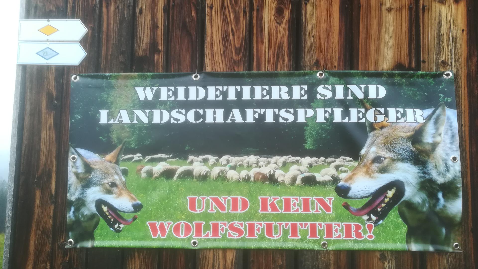 Vielerorts im Murgtal (hier ein Foto aus Baiersbronn-Schwarzenberg) äußern sich die Landschaftspfleger kritisch, was den Umgang mit dem Wolf anbelangt. 