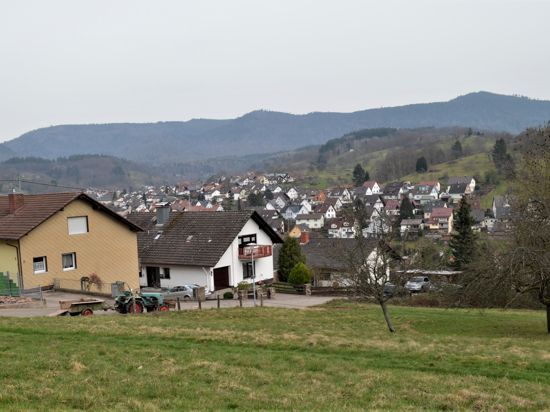Eigentümer machen Druck: Das Baugebiet „Steinäcker“ im Gaggenauer Stadtteil Michelbach soll wie anfangs geplant mit 14 Baugrundstücken umgesetzt werden, so die Forderung.