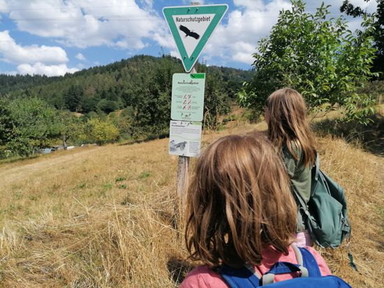 Kinder schauen auf ein Schild im Naturschutzgebiet