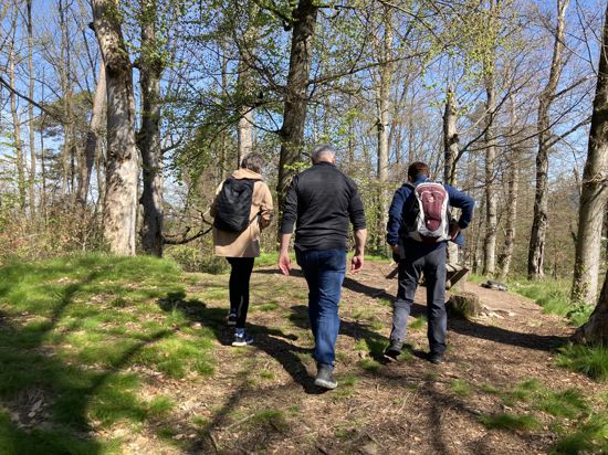drei Menschen laufen bei Sonnenschein durch einen Frühlingswald, die Aufnahme zeigt die Personen von hinten