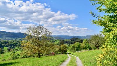 Landschaft zwischen Hörden und Loffenau