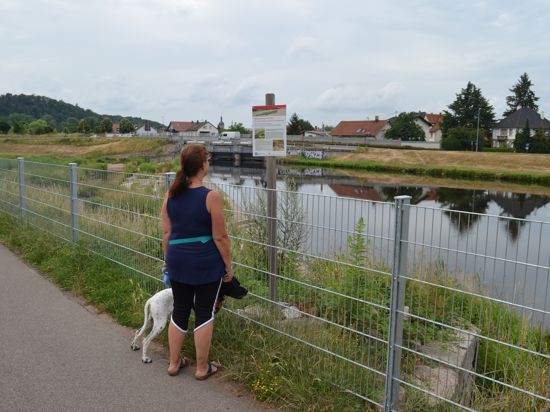 Frau mit Hund an einem Zaun an der Murg in Gaggenau 