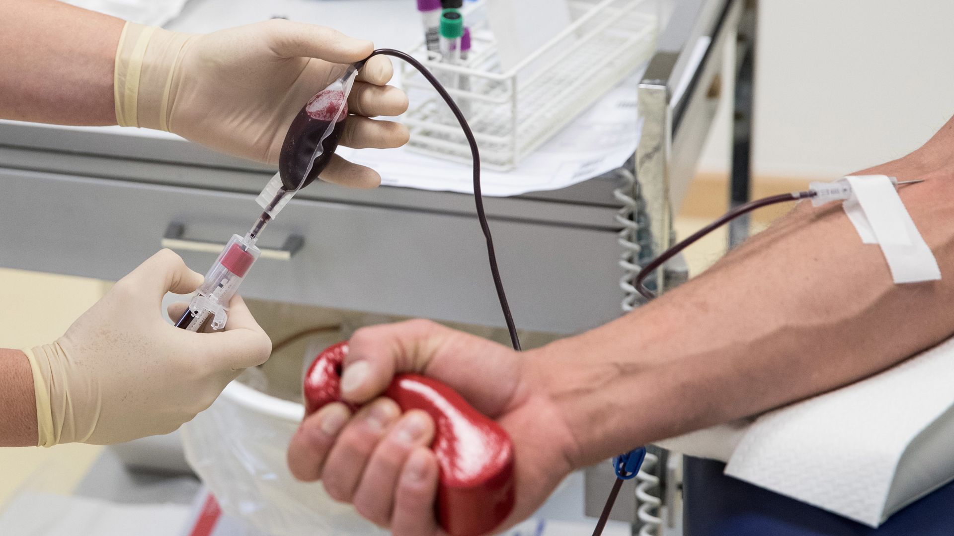 Beim Deutschen Roten Kreuz können Freiwillige regel- mäßig ihr Blut spenden.