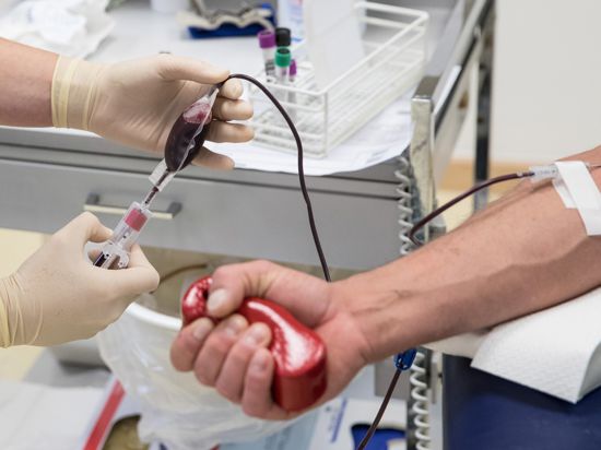 Beim Deutschen Roten Kreuz können Freiwillige regel- mäßig ihr Blut spenden.