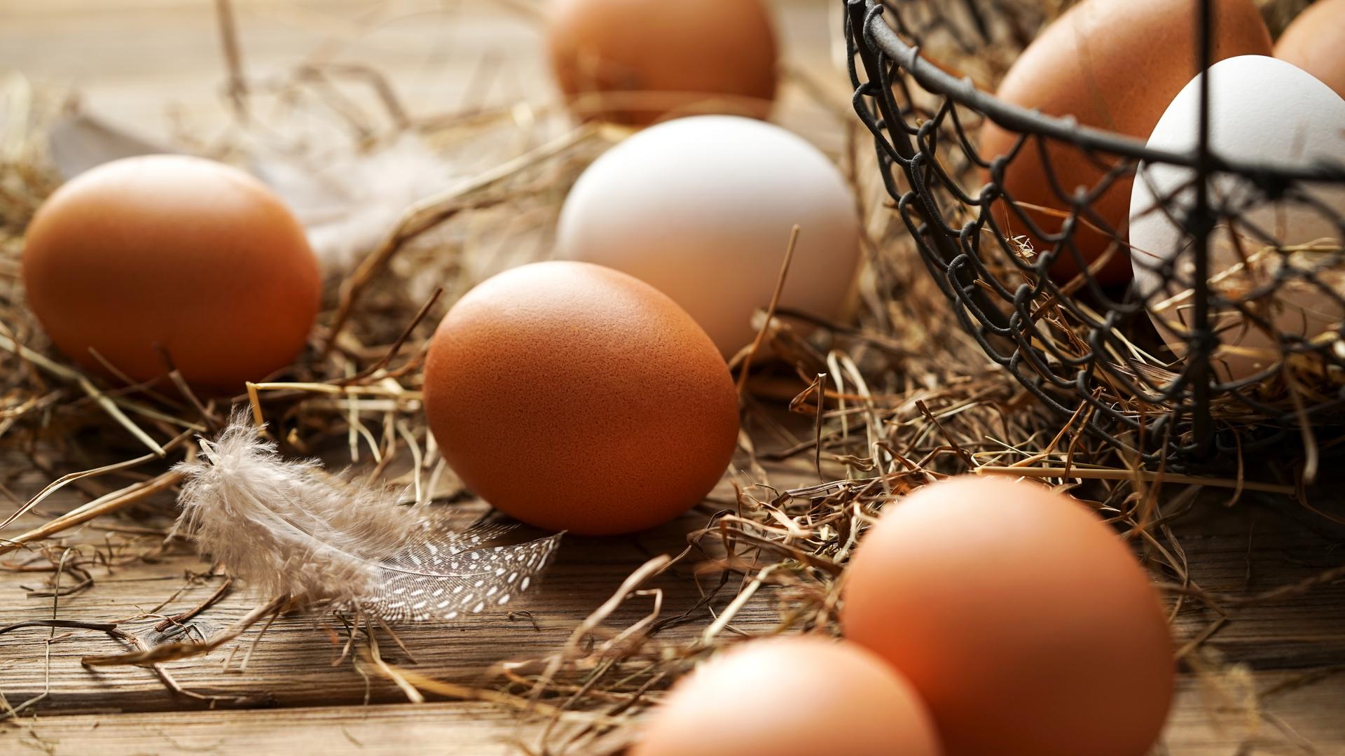 Frische Eier von Hühnern liegen auf einem Tisch. 