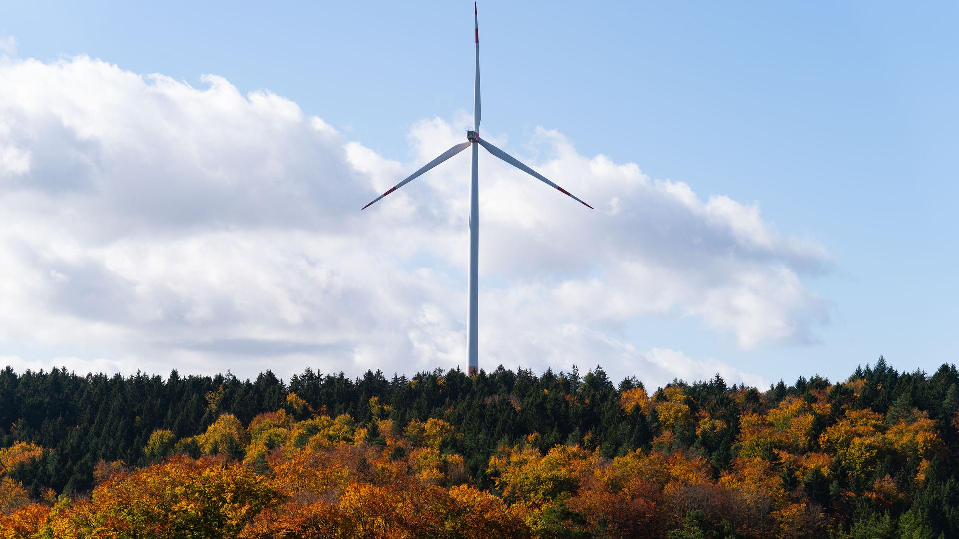 Günstiger Standort: Der Lachsberg in Forbach eignet sich aufgrund seiner guten Windbedingungen am ehesten für den Bau von Windkraftanlagen.