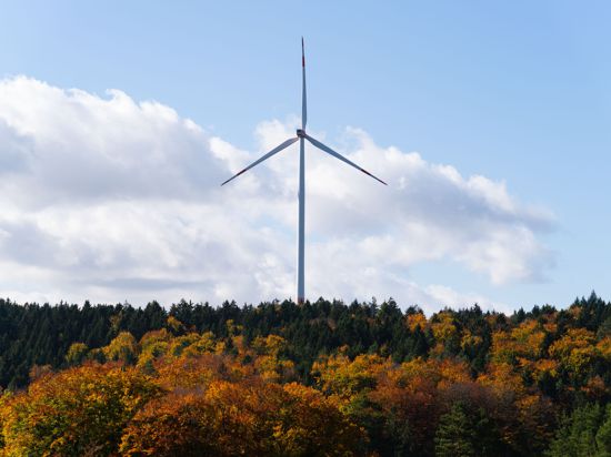 Günstiger Standort: Der Lachsberg in Forbach eignet sich aufgrund seiner guten Windbedingungen am ehesten für den Bau von Windkraftanlagen.