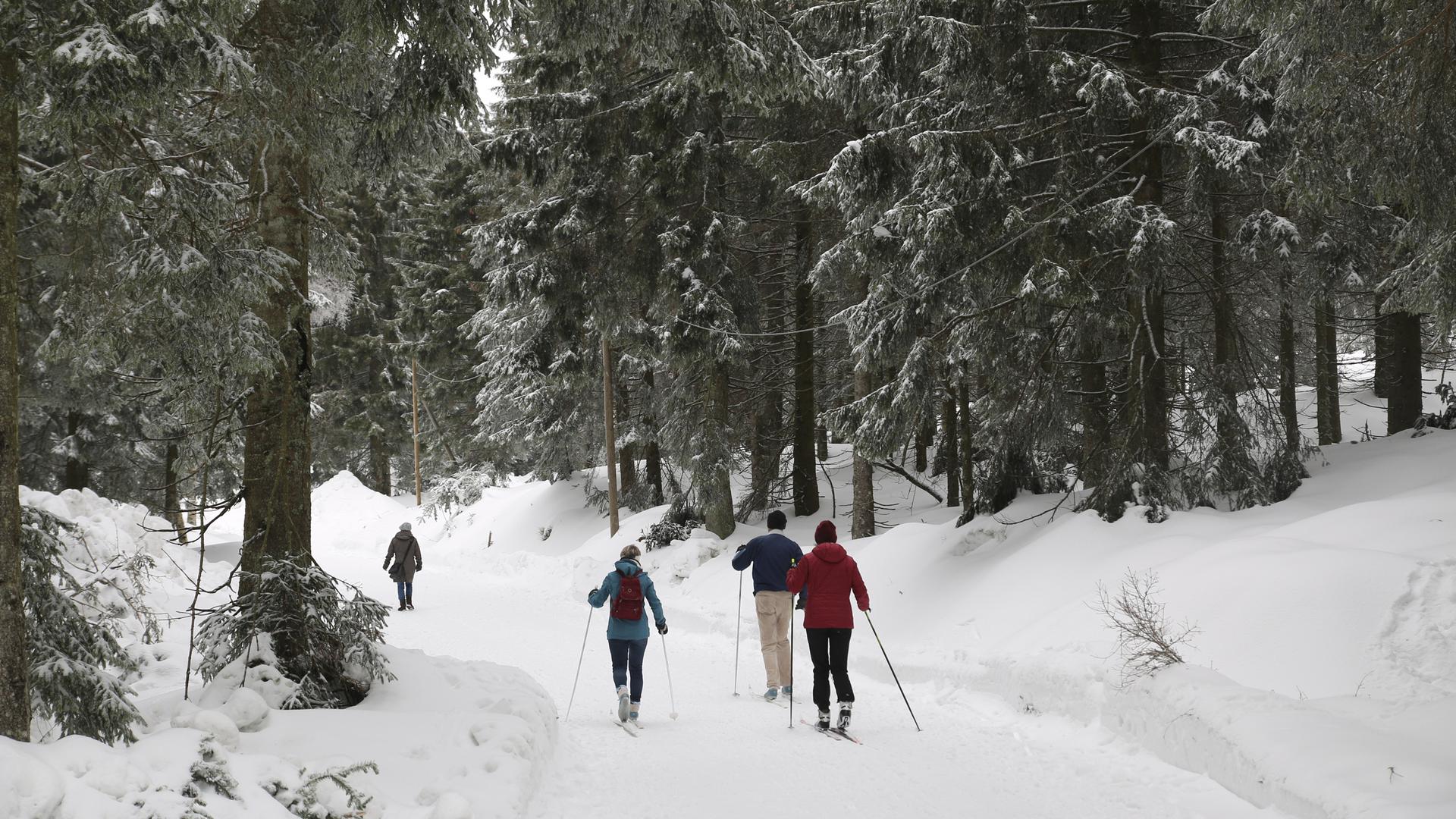 Ein Langlauf-Paradies: Im Schwarzwald gibt es viele Ski-Strecken für Wintersportler. Im Bild ist die Loipe auf dem Metaweg am Ruhestein zu sehen.