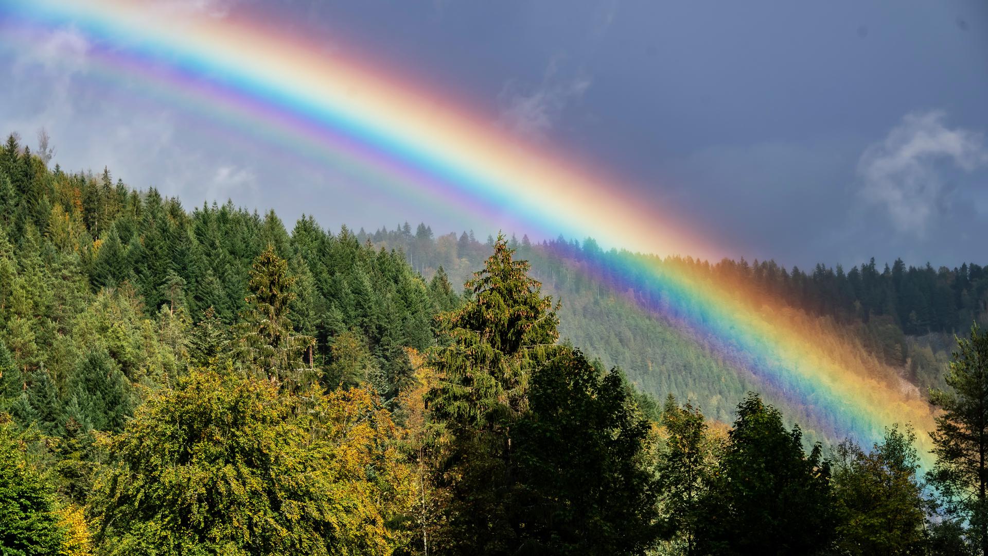 Über dem Schwarzwald bei Forbach hat sich ein Regenbogen gebildet. 