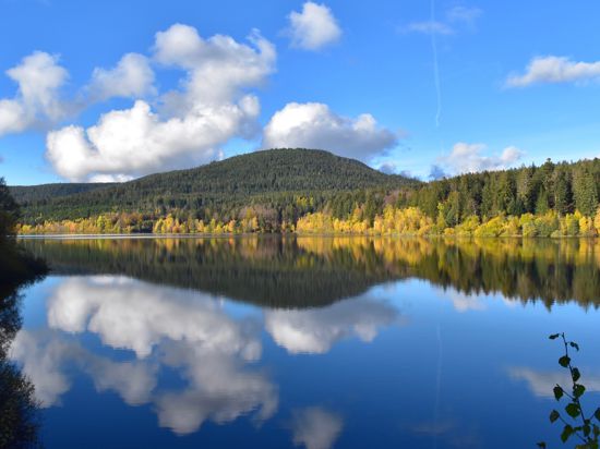 Spiegelglatte Schwarzenbach-Talsperre: Im späten Herbst ist der Stausee dank der bunten Herbstfarben besonders schön.