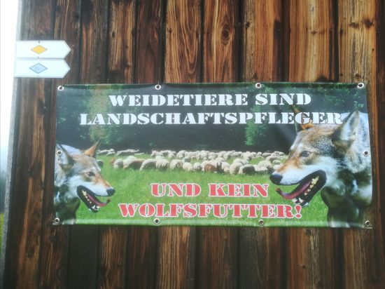 Plakat an einer Tiroler Heuhütte, das für mehr Schutz vor dem Wolf plädiert.