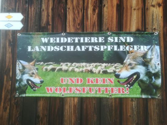 Plakat an einer Tiroler Heuhütte im Murgtal mit der Aufschrift: „Weidetiere sind Landschaftspfleger und kein Wolfsfutter.“