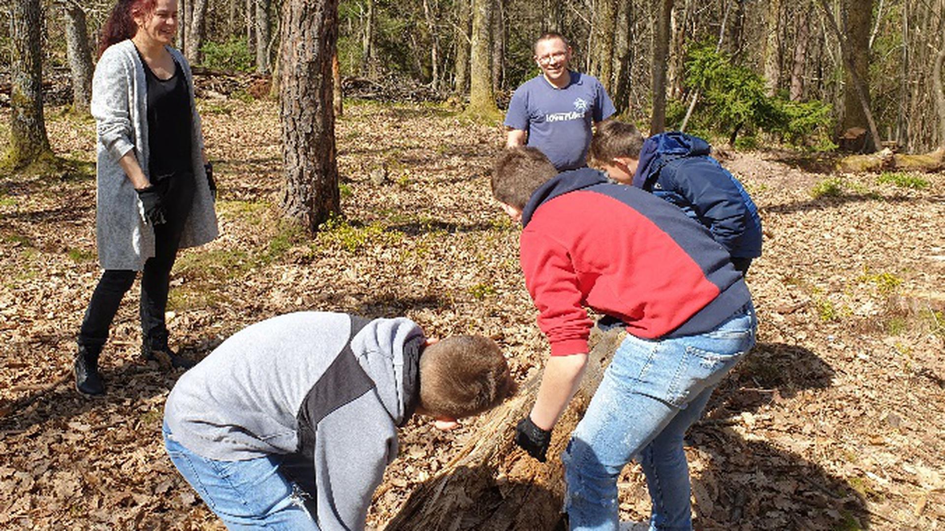 Gernsbacher Schüler helfen beim Aufbau des neuen Waldklassenzimmers.
