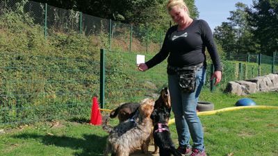 Körpersprachliche Arbeit: Marie Herrmann von der Hundeschule „hundgerecht“ führt ihre Tiere durch den Parcours.