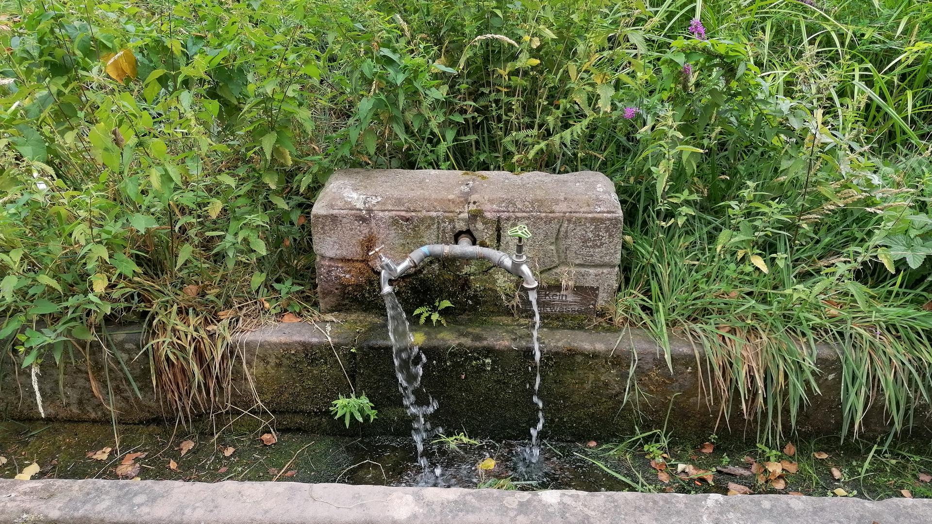 Weder die Stadt noch die Stadtwerke Gernsbach betreuen diesen Brunnen, der auf städtischem Grund oberhalb der Bergkopfstraße (am Ende des Grundwegs) in Scheuern liegt. Um die Wassernutzung droht ein juristischer Streit. 