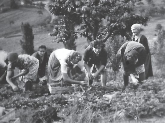 Frauen bei der Erdbeerernte in Staufenberg. Sie trugen die Hauptlast der Arbeit.