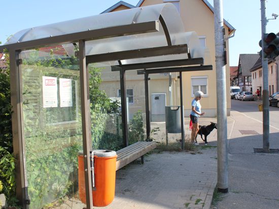 Bushaltestelle in Lienzingen