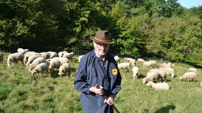 Hans-Joachim Lohmann wird bald 80, Schafhalter aus Gernsbach