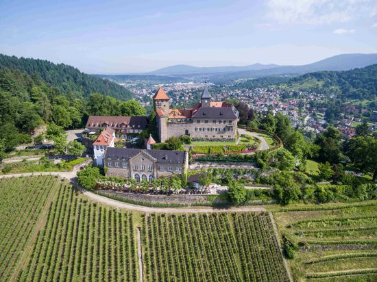 Blick auf das über Weinbergen thronende Schloss Eberstein.