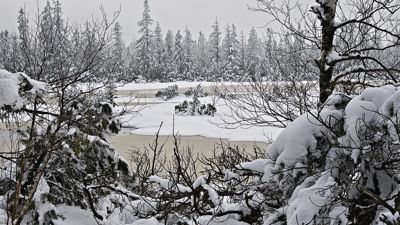 Bei genügend Schneefall ist der Wildsee im Winter ganz in Weiß gehüllt.
