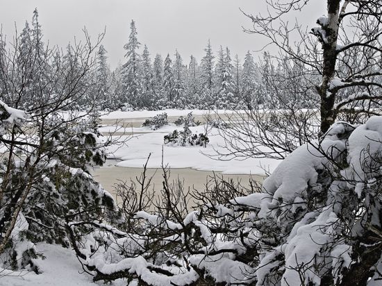 Bei genügend Schneefall ist der Wildsee im Winter ganz in Weiß gehüllt.