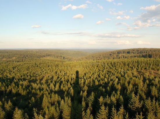 Blick vom Hohlohturm, der seinen Schatten auf die Wälder wirft.