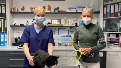 Charlotte Willuhn (links) untersucht mit Dorothee Preuß einen Katzenpatienten in der Tierklinik am Scheibenberg.