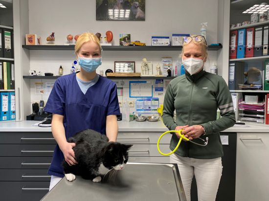 Charlotte Willuhn (links) untersucht mit Dorothee Preuß einen Katzenpatienten in der Tierklinik am Scheibenberg.